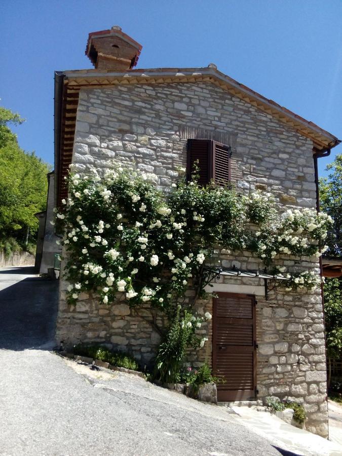 Bed & Breakfast Sentiero 54 Cantiano Extérieur photo